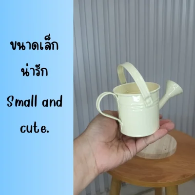 บัวรดน้ำจิ๋วตกแต่งบ้านแต่งสวนแต่งร้าน Small watering can