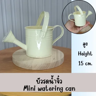 บัวรดน้ำจิ๋วตกแต่งบ้านแต่งสวนแต่งร้าน Small watering can