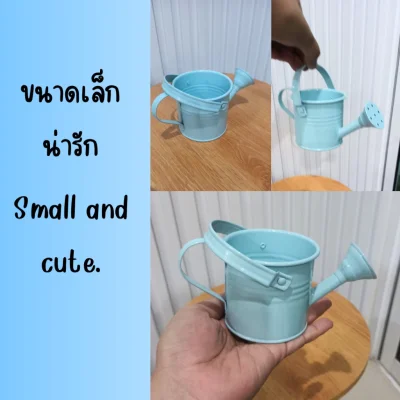 บัวรดน้ำจิ๋วตกแต่งบ้านแต่งสวนแต่งร้าน Small watering can