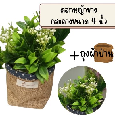 ดอกหญ้าขาวดอกไม้ปลอมประดิษฐ์