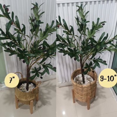 ต้นมะกอกโอลีฟปลอมประดิษฐ์ Artificial / Fake Olive Tree