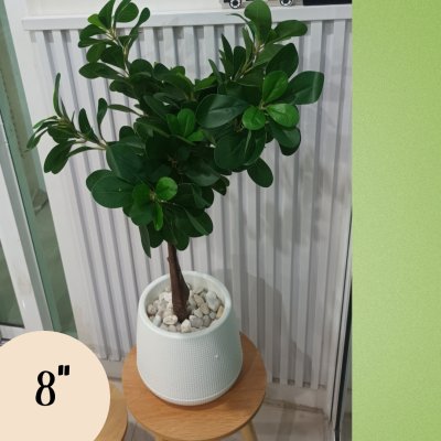 ต้นช้อนเงินช้อนทองประดิษฐ์ Artificial Banyan Tree