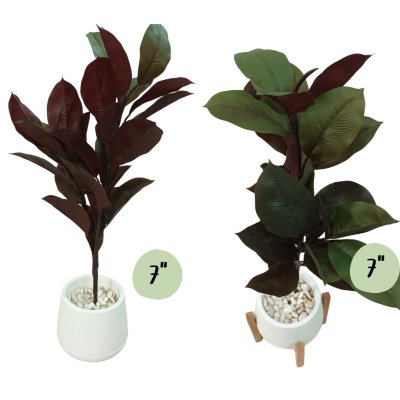 ต้นยางอินเดียปลอมประดิษฐ์ Artificial Rubber Tree