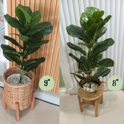 ต้นไทรใบสักปลอมขนาดใหญ่เหมือนจริง Artificial / Fake Fiddle Leaf Fig plant