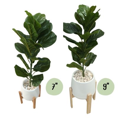 ต้นไทรใบสักปลอมขนาดใหญ่เหมือนจริง Artificial / Fake Fiddle Leaf Fig plant