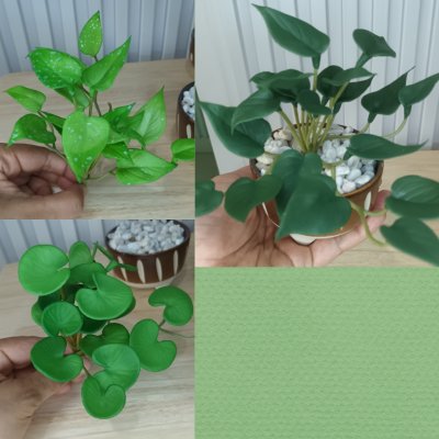 ต้นไม้ปลอมประดิษฐ์ขนาดเล็กSmall artificial plant
