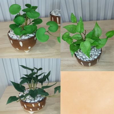 ต้นไม้เลื้อยปลอมประดิษฐ์ขนาดเล็กในกระถางเซรามิก 3.5 นิ้ว Artificial plant in ceramic pot.
