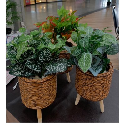 ต้นไม้ปลอมต้นไม้ประดิษฐ์ใบสวยงามเหมือนจริงแต่งบ้านแต่งร้าน Artificial plant, beautiful realistic leaves