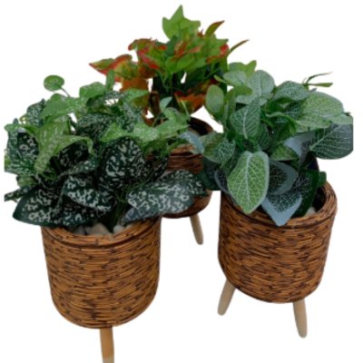 ต้นไม้ปลอมต้นไม้ประดิษฐ์ใบสวยงามเหมือนจริงแต่งบ้านแต่งร้าน Artificial plant, beautiful realistic leaves
