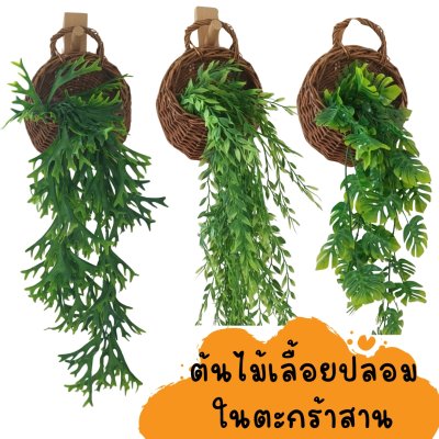 ต้นไม้เลื้อยปลอมประดิษฐ์ในตะกร้าหวายแขวนผนังมีหลายแบบ