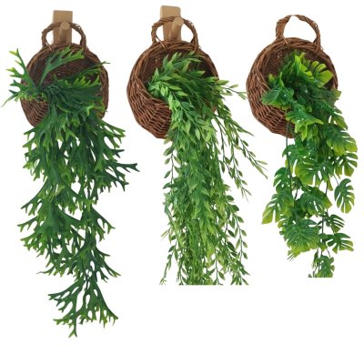 ต้นไม้เลื้อยปลอมประดิษฐ์ในตะกร้าหวายแขวนผนัง Artificial climbing plant in a wicker basket.