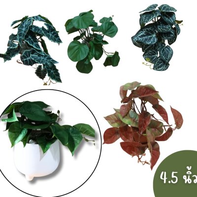 ต้นไม้เลื้อยปลอมในกระถางดินเผาทรงนมวัว Artificial vine plant in cow-shaped ceramic pot.