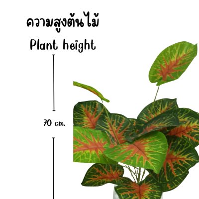 ต้นบอนสีปลอมขนาดใหญ่เหมือนจริง Artificial / Fake Fancy Leaf Caladium Plant