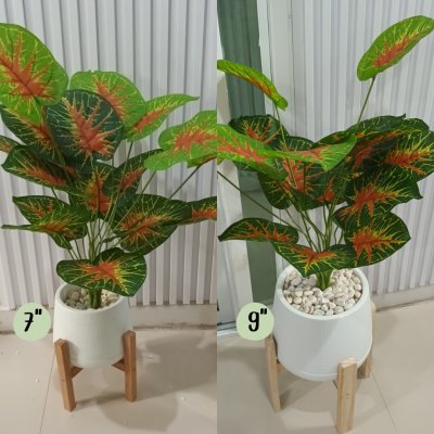 ต้นบอนสีปลอมขนาดใหญ่เหมือนจริง Artificial / Fake Fancy Leaf Caladium Plant