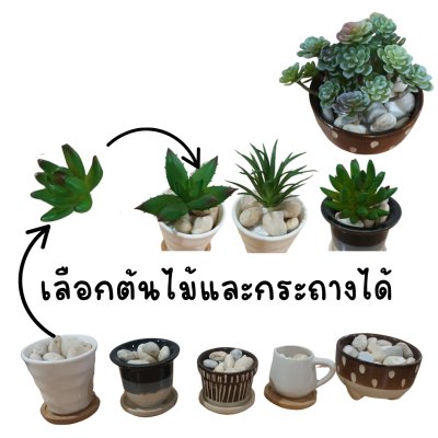 แคคตัสปลอมในกระถางเซรามิก