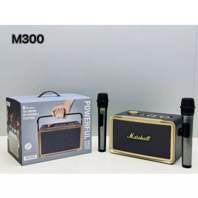 PORTABLE BT SPEAKER WITH MIC M300
