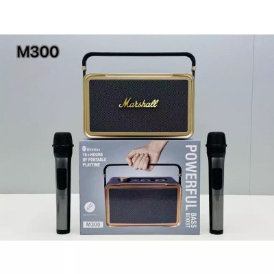 PORTABLE BT SPEAKER WITH MIC M300