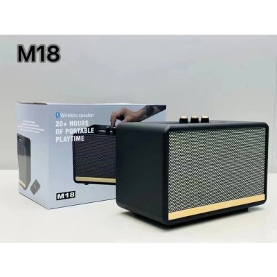BASSTECH PORTABLE BT SPEAKER M18