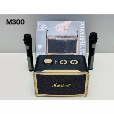 PORTABLE BT SPEAKER WITH MIC M300