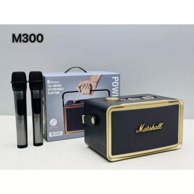PORTABLE BT SPEAKER WITH MIC M300