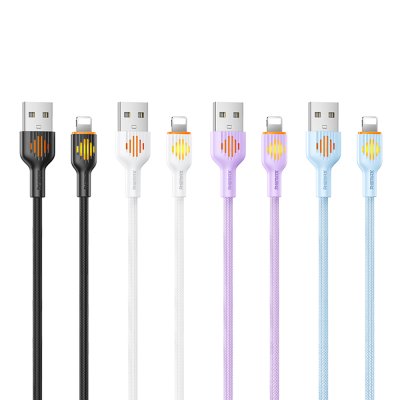Cable USB to Lightning 2.4A RC-C121