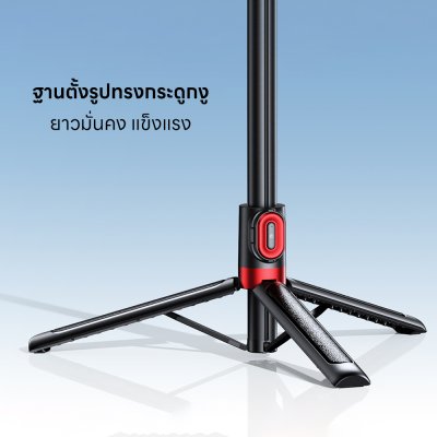 Remax Selfie P60,1.3M