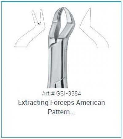 Dental Extracting Forcep