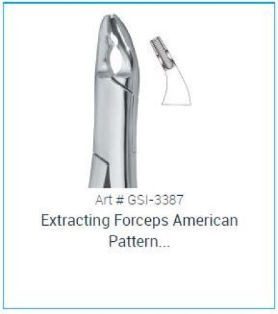 Dental Extracting Forcep