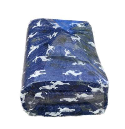 ที่นอนปิคนิก 3.5 ฟุต+หมอน 1 ใบ