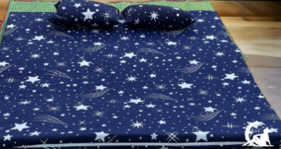 ที่นอนปิกนิก5ฟุต+หมอน2ใบ