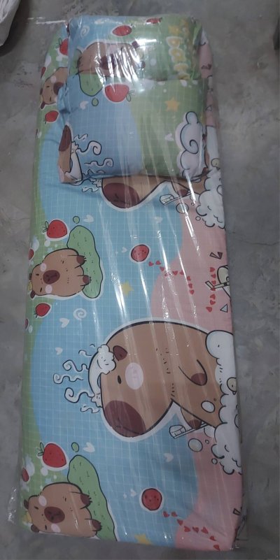 ปิคนิค5ฟุต 3นิ้ว แบบบาง มีหมอน