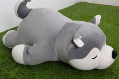 หมาไซบีเรีย Tcot SS/โอปอ