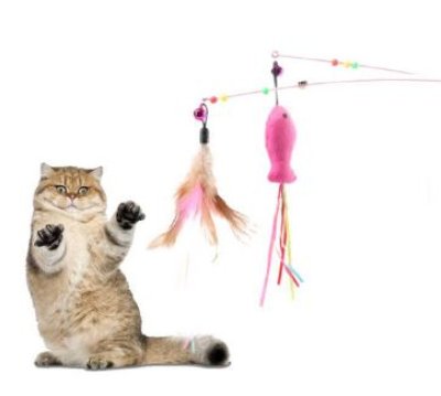 A139-30#อุปกรณ์สัตว์เลี้ยง