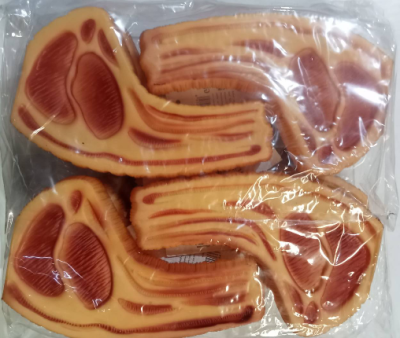 A139-04 กระดูกยางปลอม