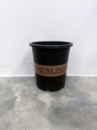 18-73#กระถางต้นไม้ 12 ชิ้น /โหล ราคา 20 บาท