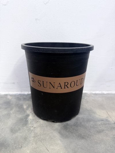 PE2015-B#กระถางดอกไม้ทรงสูง สีดำ 12 ชิ้น /โหล ราคา 25 บาท