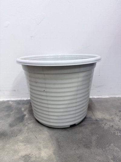 No.7930W#กระถางลายรอน10 สีขาว 12 ชิ้น /โหล ราคา 20 บาท