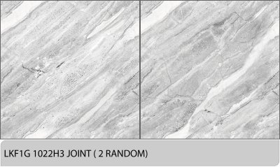LKF1G 1022H3 Joint
