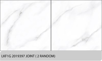 LKF1G 2019397JOINT