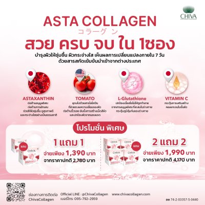 CHIVA  ASTA COLLAGEN