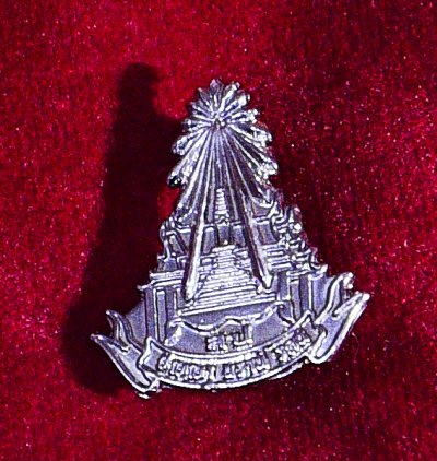 Metal pins