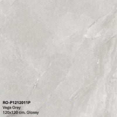 Vega grey 120x120 cm (Glossy) - 5 pattern
