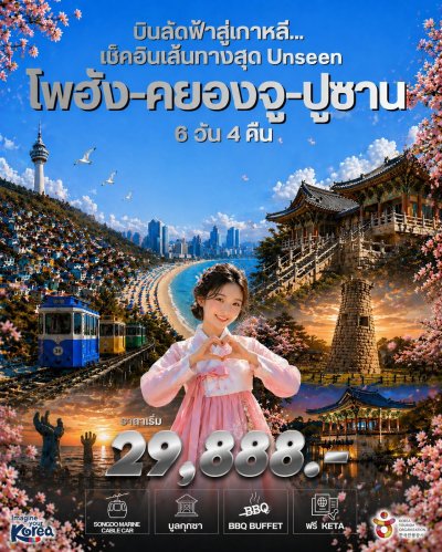 ครั้งนี้เราพาคุณออกนอกเส้นทางเดิม สู่ “โพฮัง – คยองจู – ปูซาน” 6วัน 4คืน
