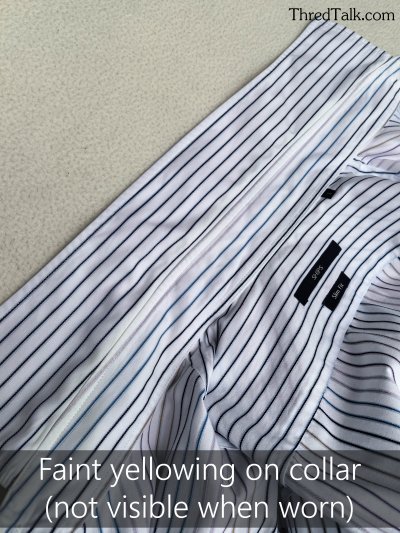 SHIPS (Japan) - Cotton Poplin Twill - L (Asia)