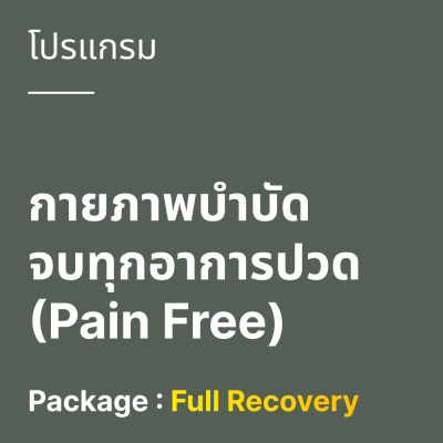โปรแกรมกายภาพบำบัด จบทุกอาการปวด (Pain Free)