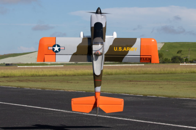 100" RV-8 FLS ARFSV Camoufloge