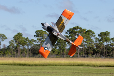 100" RV-8 FLS ARFSV Camoufloge