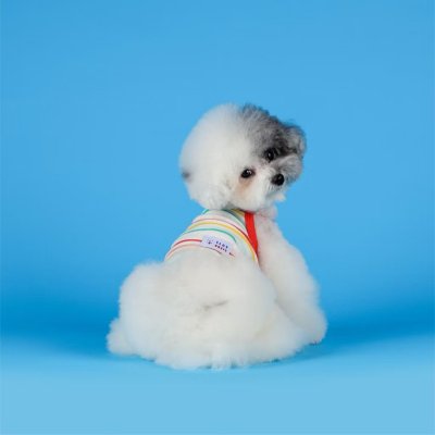 Flot soft cloud cooling sleeveless  เสื้อผ้าสัตว์เลี้ยง หมา แมว Made in Korea