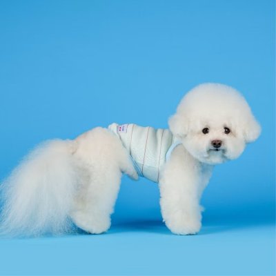 Flot soft cloud cooling sleeveless  เสื้อผ้าสัตว์เลี้ยง หมา แมว Made in Korea