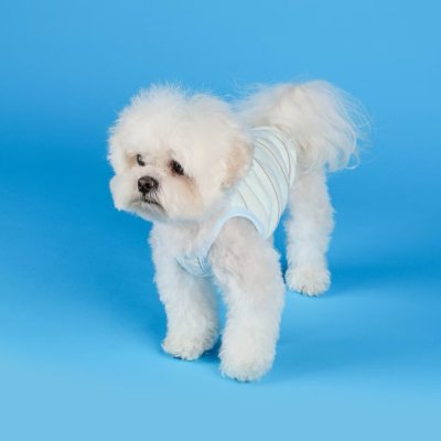 Flot soft cloud cooling sleeveless  เสื้อผ้าสัตว์เลี้ยง หมา แมว Made in Korea